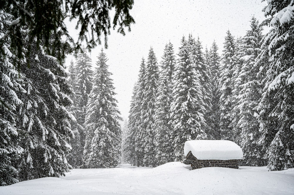 Platz 7 Robert Seitz